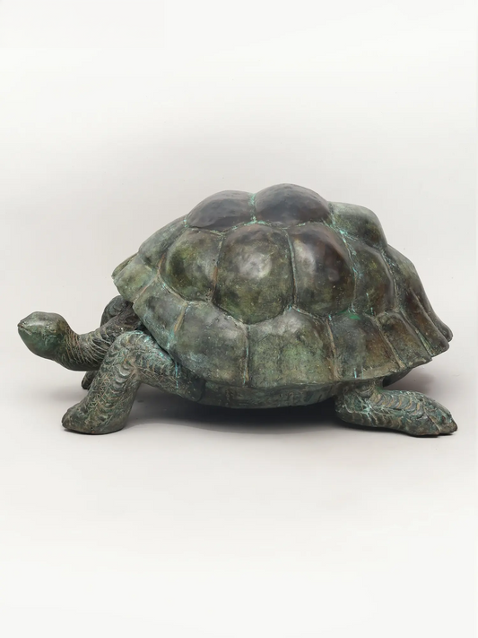 Brassaura® Bronze Turtle Sculpture | Height 15 Inches & Weight 11.40 kgs