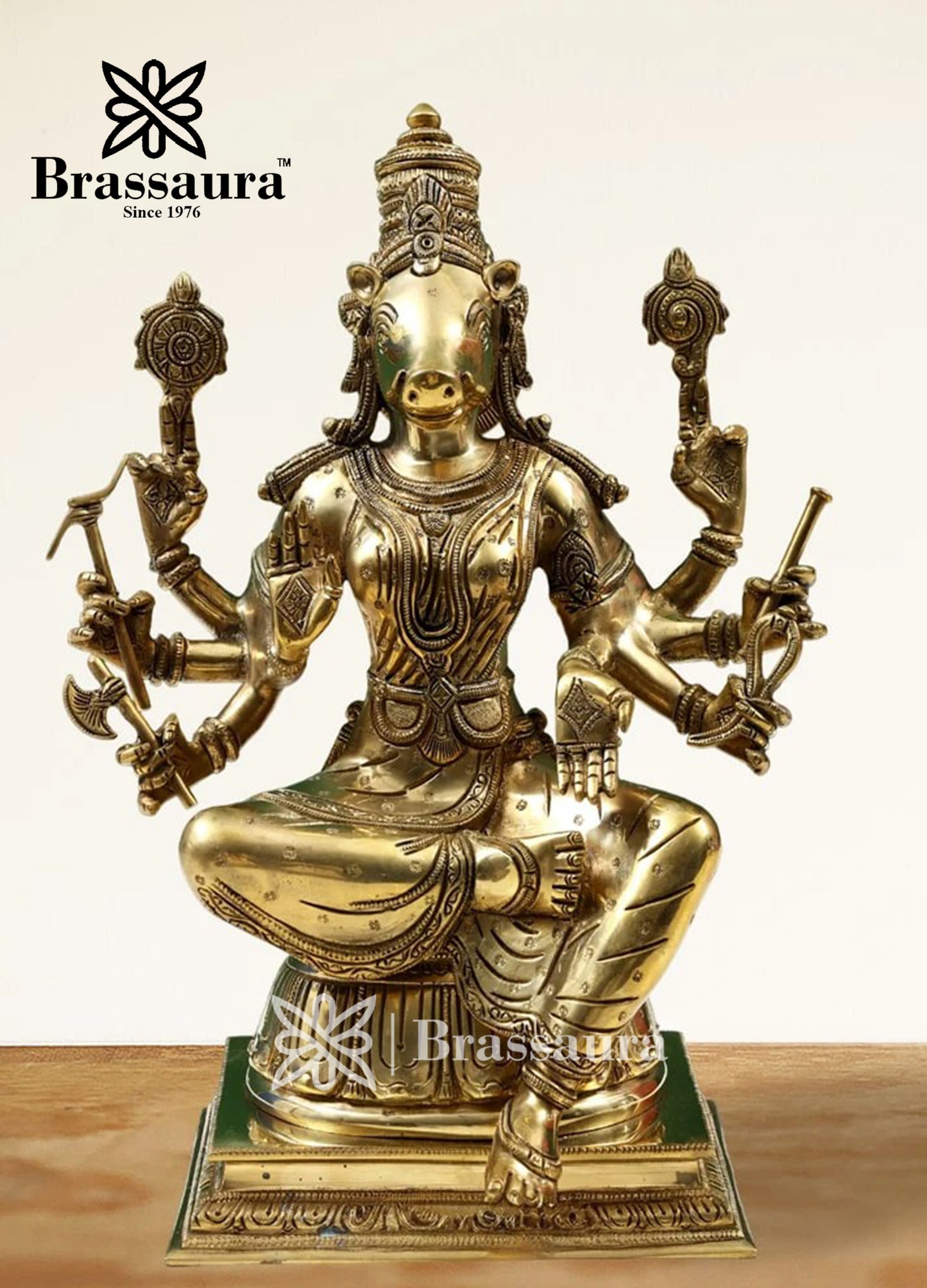 Brass Varah Statue Weight 6.5 Kg And Height 14 Inch