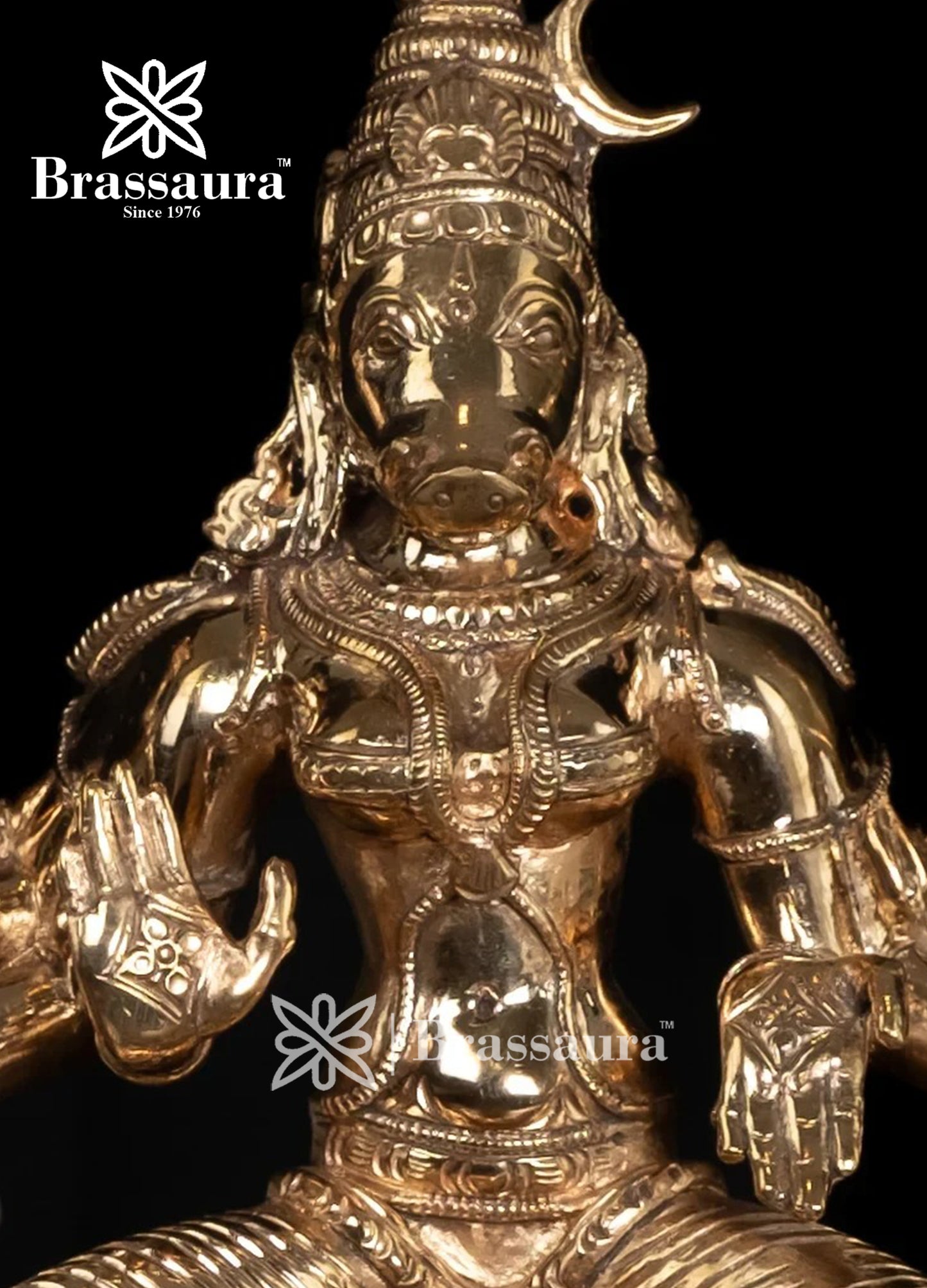 Bronze Varah Statue Weight 4.6 Kg And Height 9.25 Inch