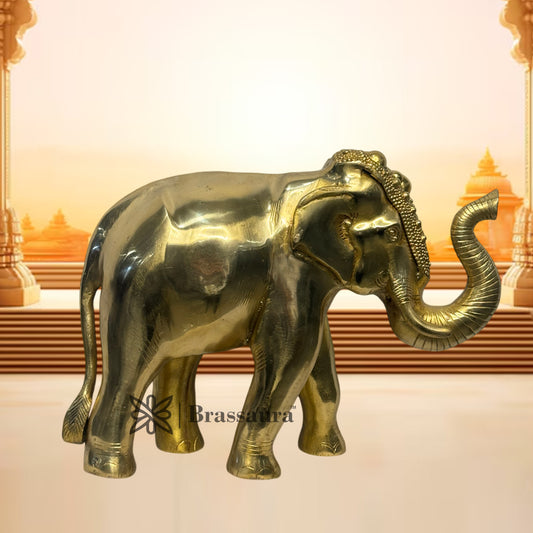 Brassaura® Brass Elephant Statue | Handcrafted Decorative Showpiece | Height 11.8 Inches & Weight 10 Kgs