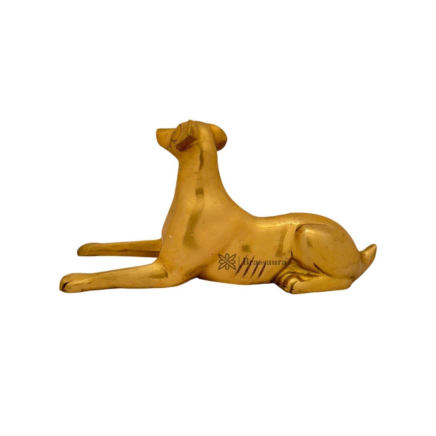 Brass Dog Statue for Home and Decor Weight 1.1 Kg Height 15 cm