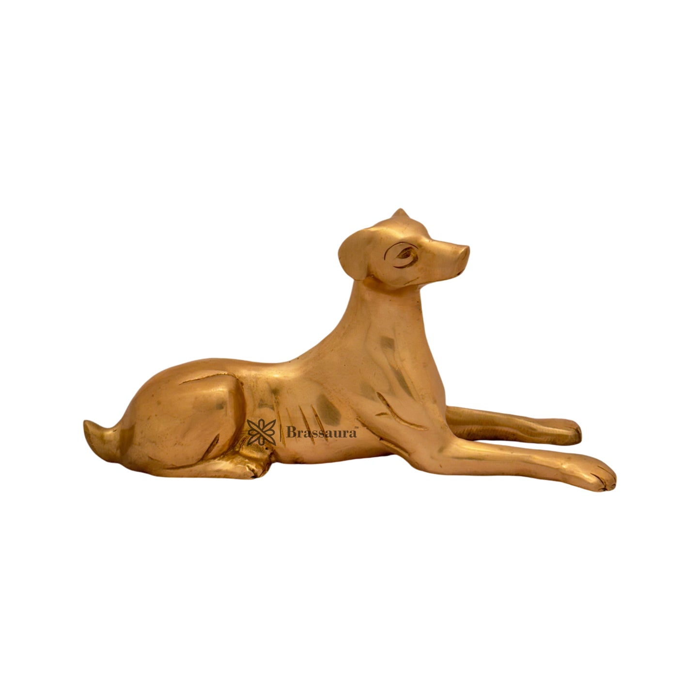 Brass Dog Statue for Home and Decor Weight 1.1 Kg Height 15 cm