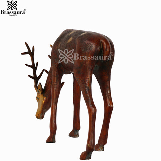 Brassaura® Copper Brown Brass Deer Sculpture | Handcrafted Wildlife Décor Showpiece | Height 16 Inches & Weight 11.5 Kgs