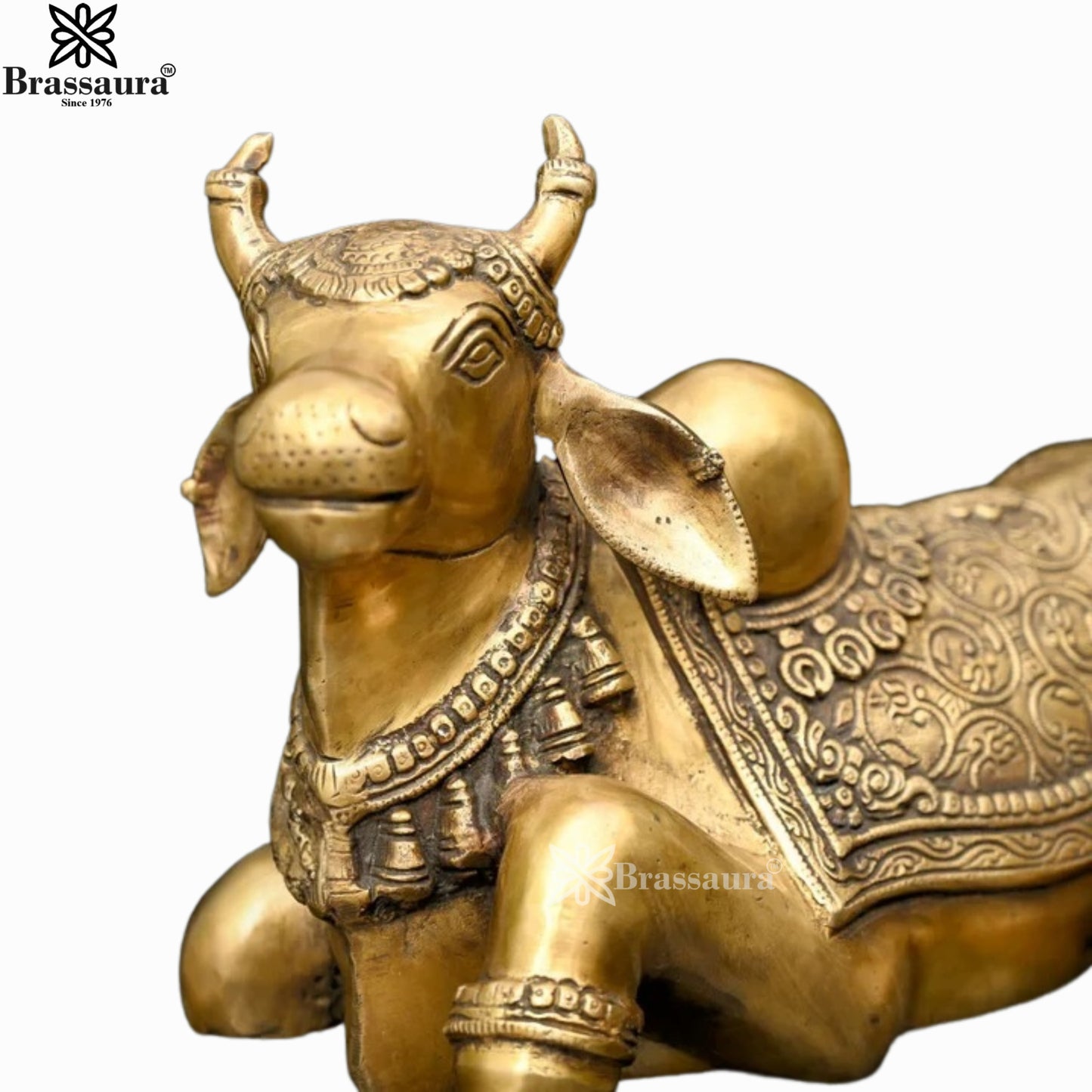 Brass Nandi For Home Décor And Gift Items Weight 8.29 kg Height 8.5 Inch