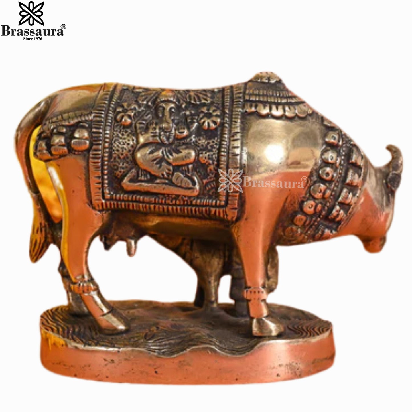 Brass Kamdhenu Cow For Home Décor And Gift Items Weight .99 kg Height 4 Inch
