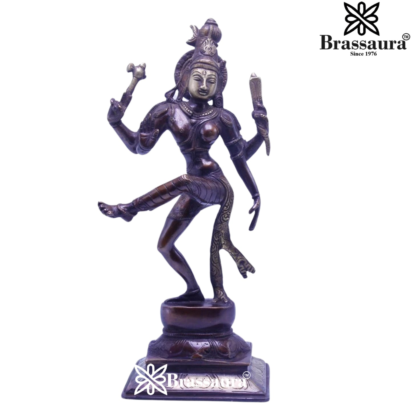 Brass Elegant Aardhnareshwar Statue Weight 3.1 kg & Height 13 Inch