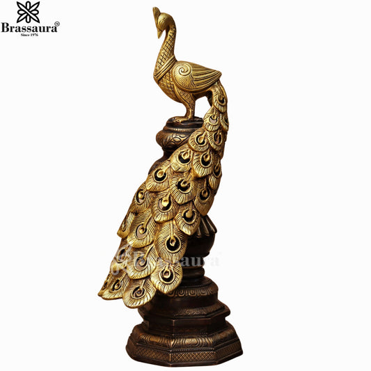 Brass Peacock For Home Décor And Gift Items Weight 7.5 kg Height 19 Inch