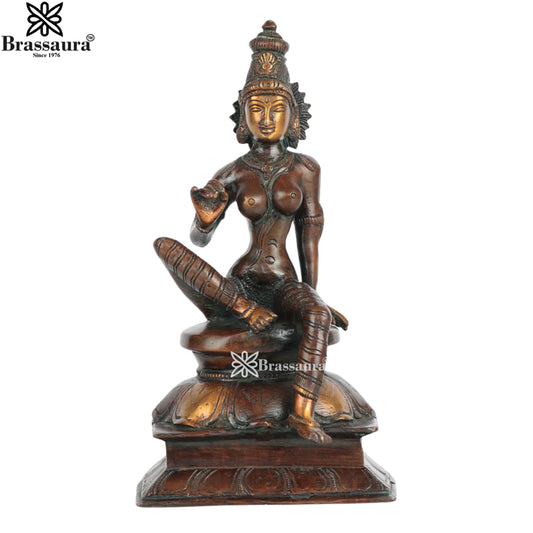 Brass Parvati Statue Weight 4 Kg And Height 10 Inch
