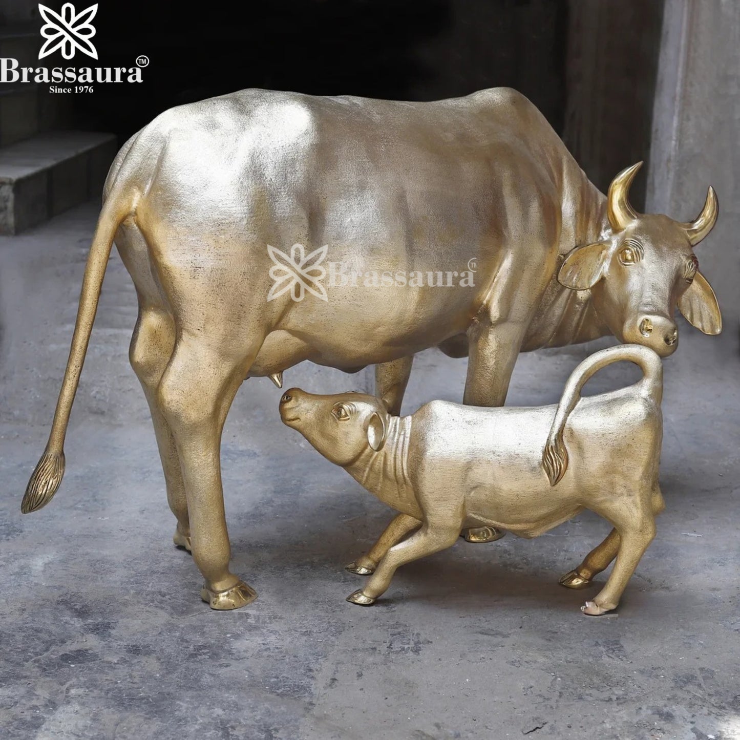 Brass Kaamdhenu Statue Weight 148 Kg And Height 33 Inch