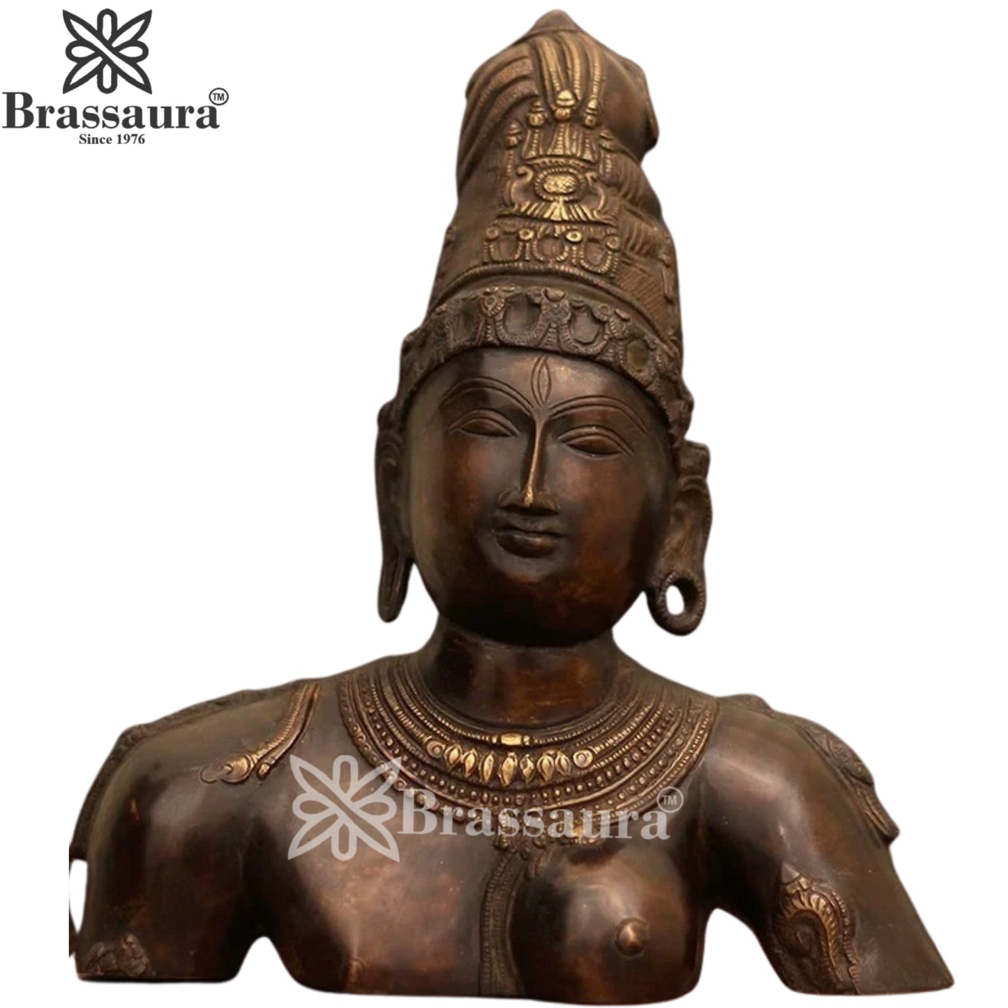 पीतल की अर्धनारीश्वर प्रतिमा का वज़न 5.8 किलोग्राम और ऊँचाई 12.5 इंच है।
