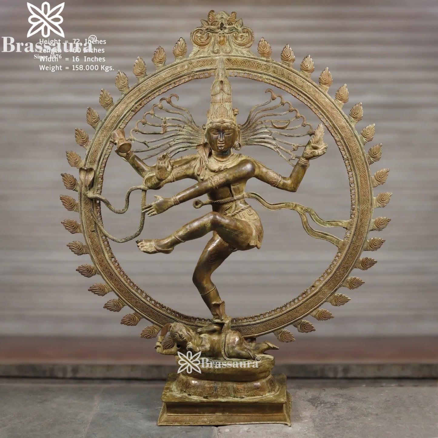 Brass Classic Dancing Natraj Statue Weight 156 Kg And Height 77 Inch