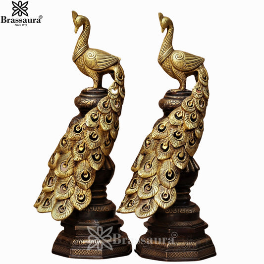 Brass Peacock Pair For Home Décor And Gift Items Weight 14.5 kg Height 19 Inch