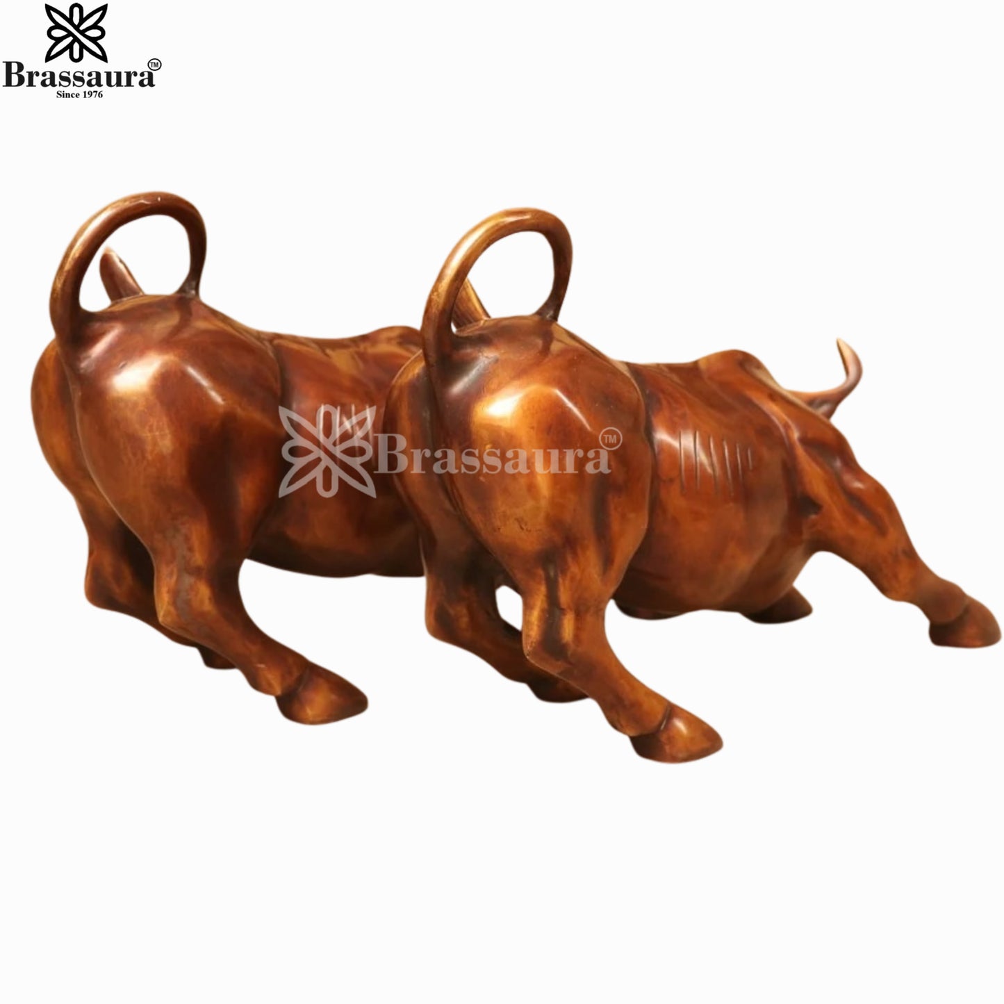 Brass Bull Pair For Home Décor And Gift Items Weight 7.6 kg Height 10 Inch