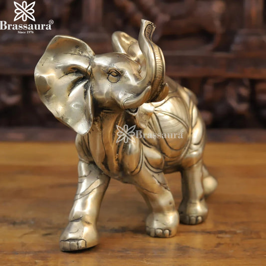 Brass Baby Elephant Statue Weight 5.96 Kg And Height 10 Inch
