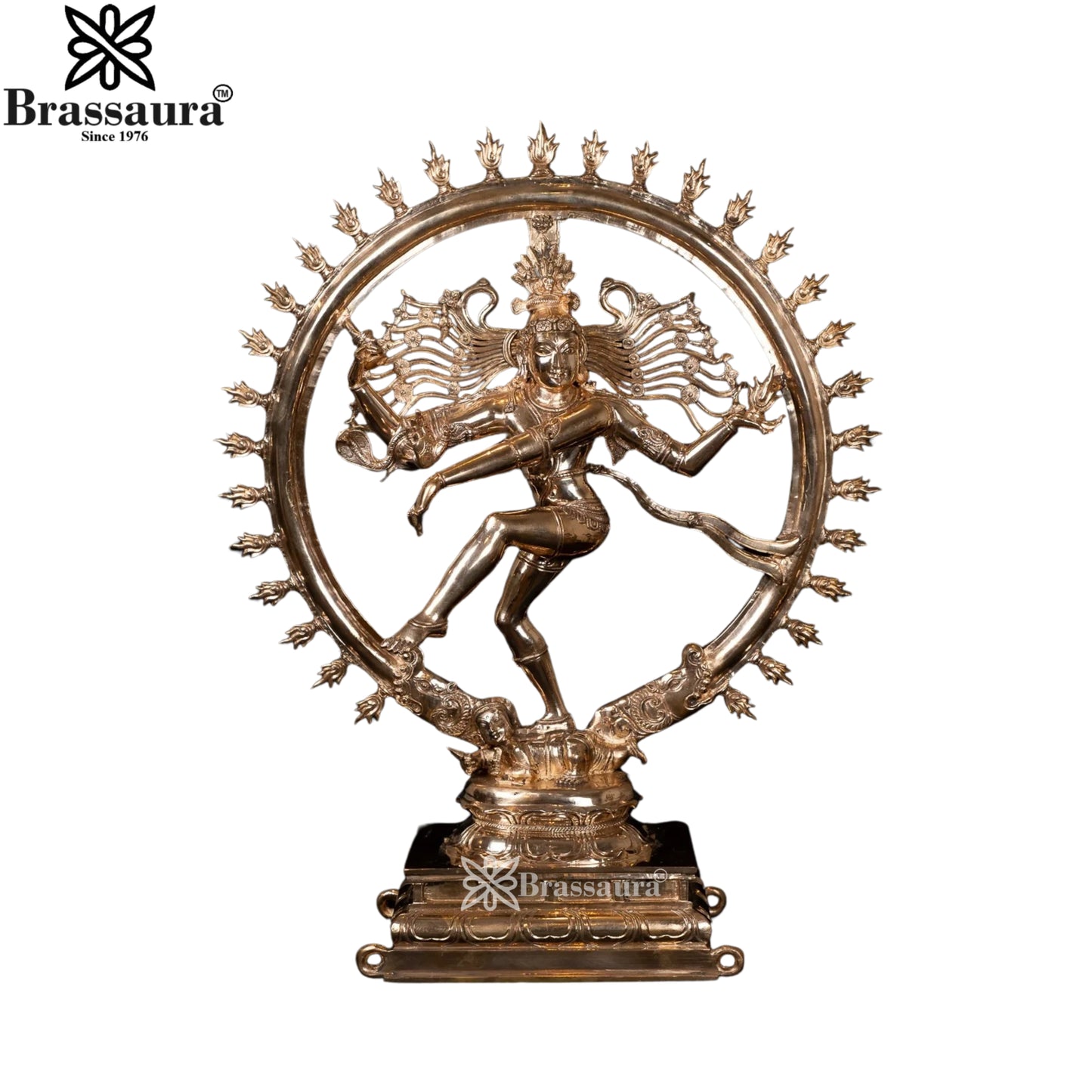 कांस्य नृत्य करती नटराज प्रतिमा, वजन 15 किलोग्राम और ऊंचाई 23 इंच