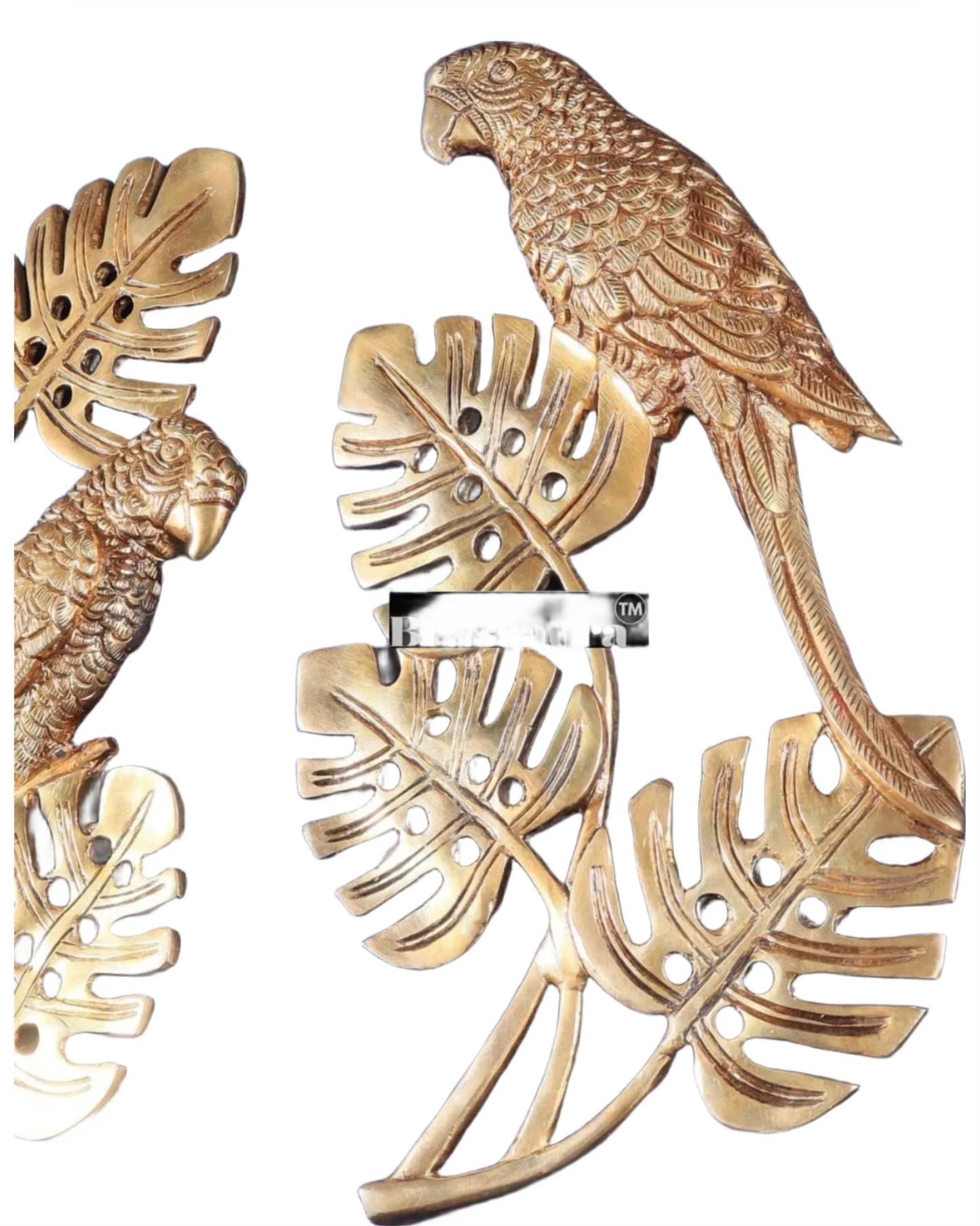 Brassaura™ Brass Parrot Wall Hanging – Height 15 Inches & Weight 2.8 Kgs (Pair)