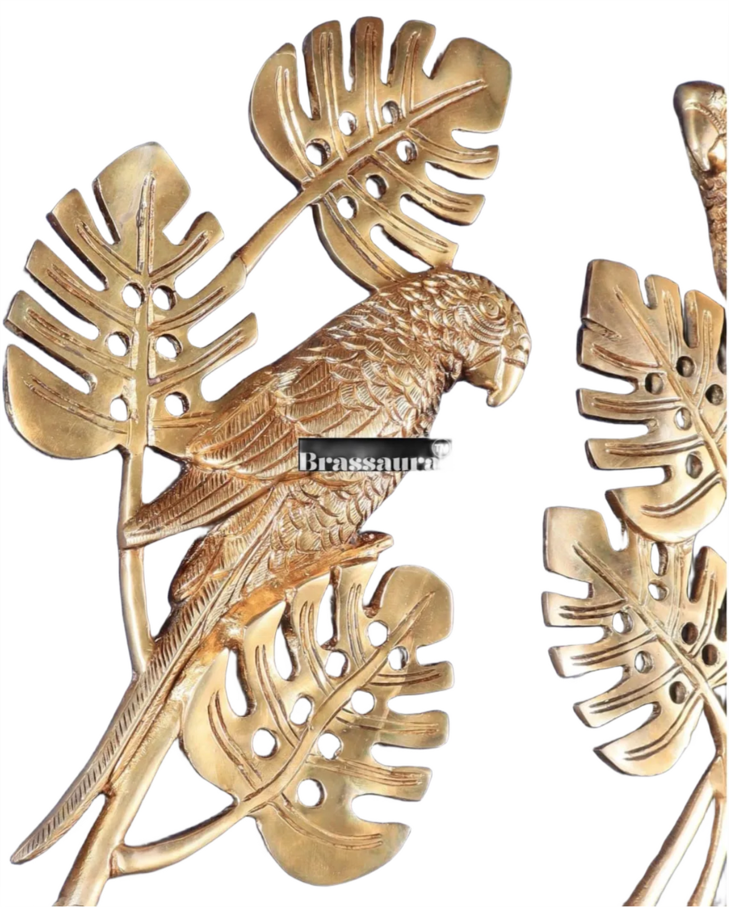 Brassaura™ Brass Parrot Wall Hanging – Height 15 Inches & Weight 2.8 Kgs (Pair)