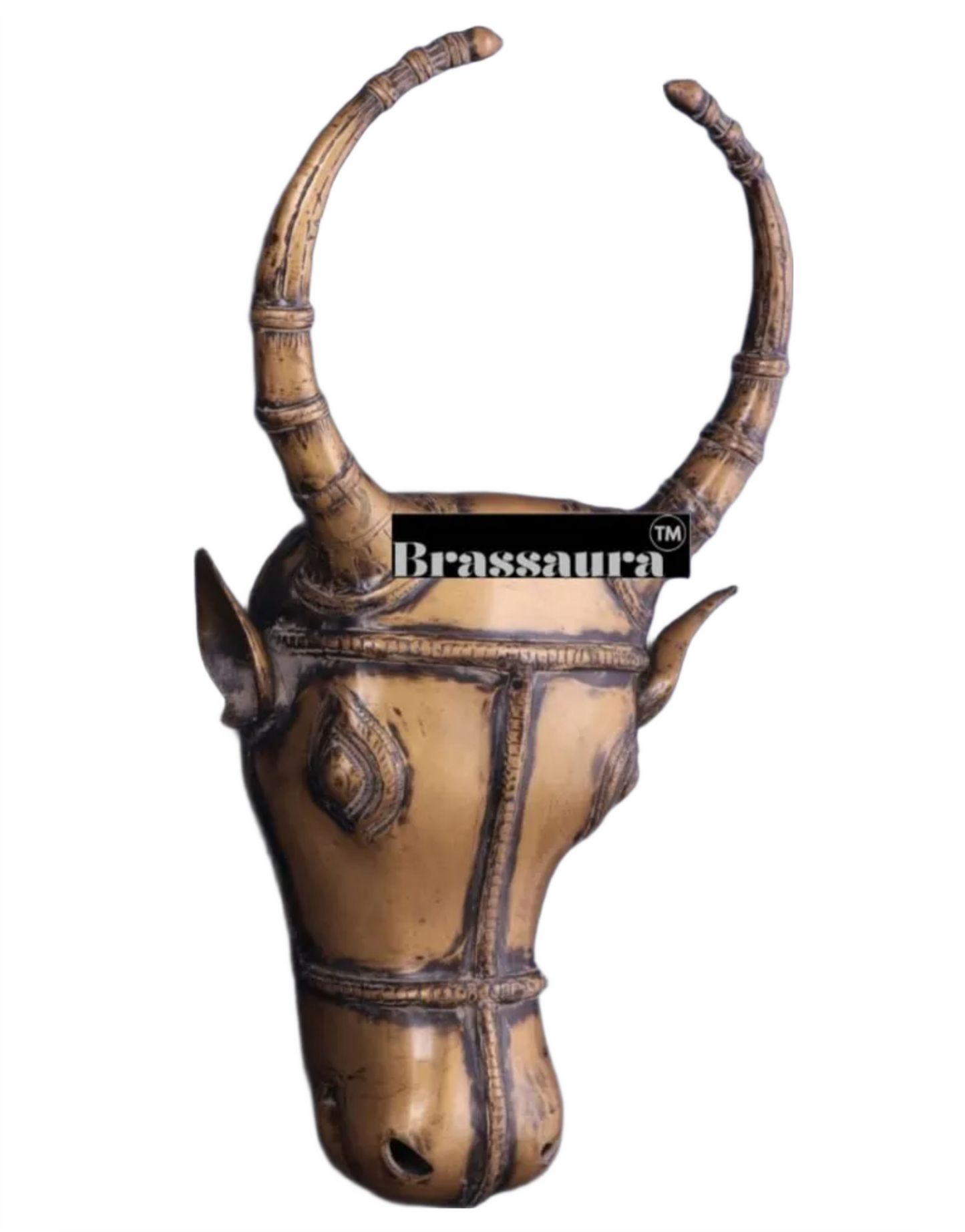 Brassaura™ Vintage Brass Bull Face Wall Hanging – Height 18 in, Weight 6 kg