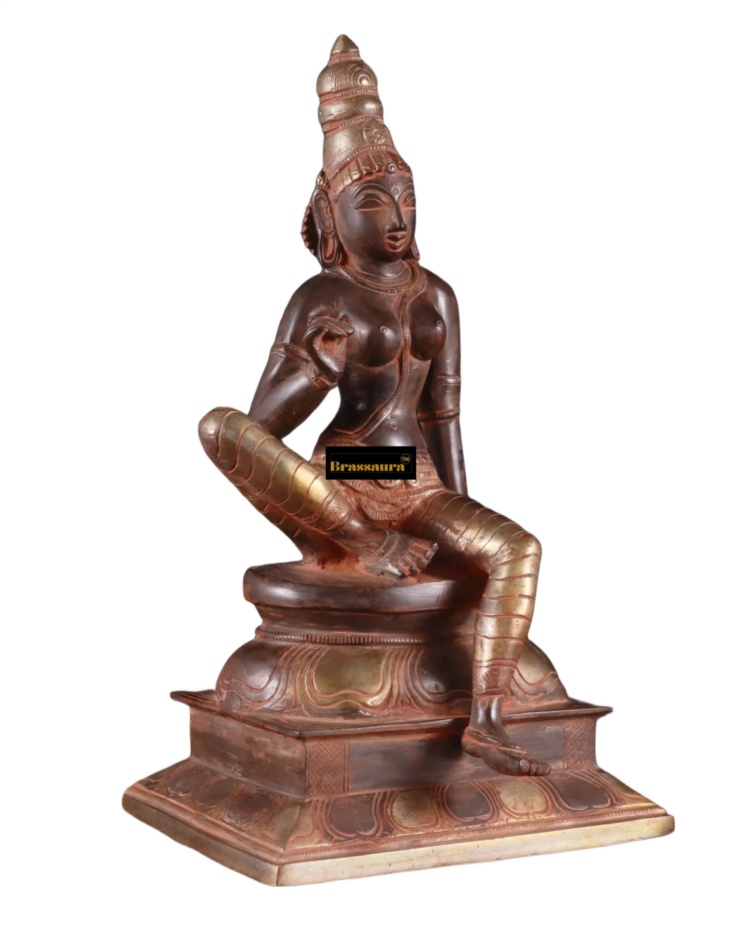 Brassaura™ Pure Brass Seated Parvati Idol – 12 Inch Height, 4.06 Kg Weight – Black & Red Patina Finish Statue