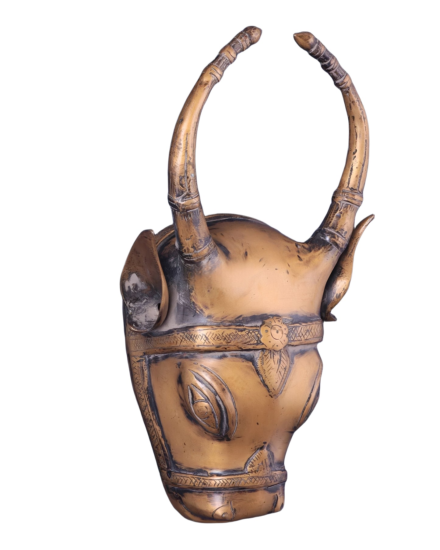 Brassaura™ Vintage Brass Cow Head Wall Hanging – Height 12.2 in, Weight 3 kg – Antique Finish