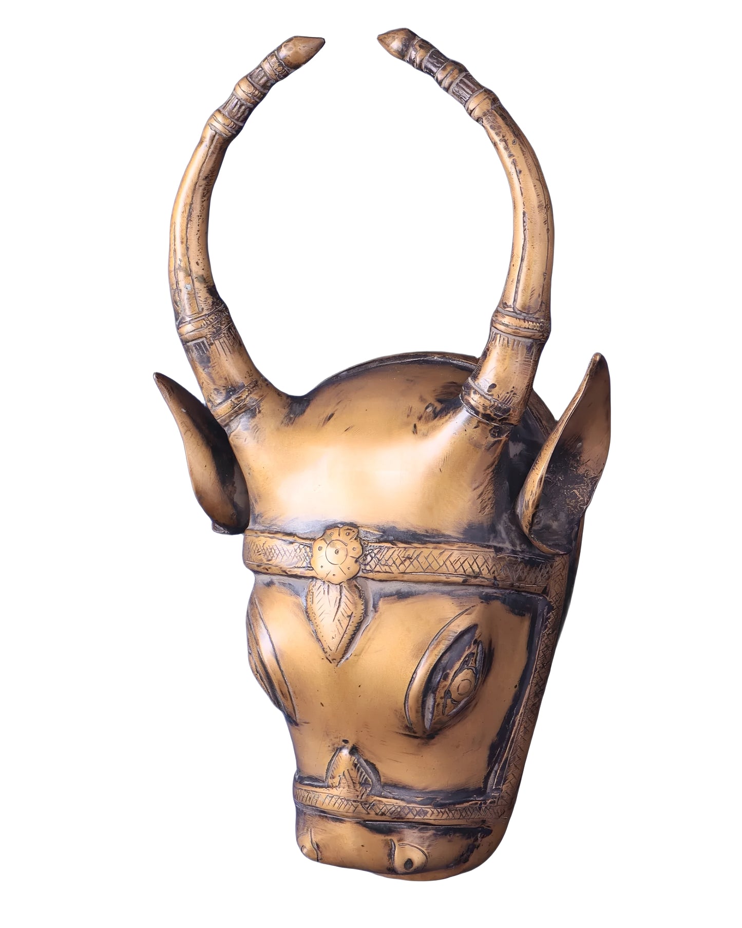 Brassaura™ Vintage Brass Cow Head Wall Hanging – Height 12.2 in, Weight 3 kg – Antique Finish
