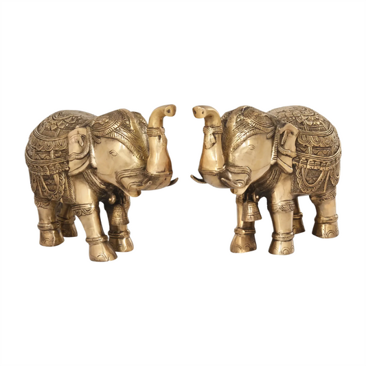 Brassaura® Royal Pair of Brass Elephants | Pure Brass | Height 10.5 Inches & Weight 15.40 kgs