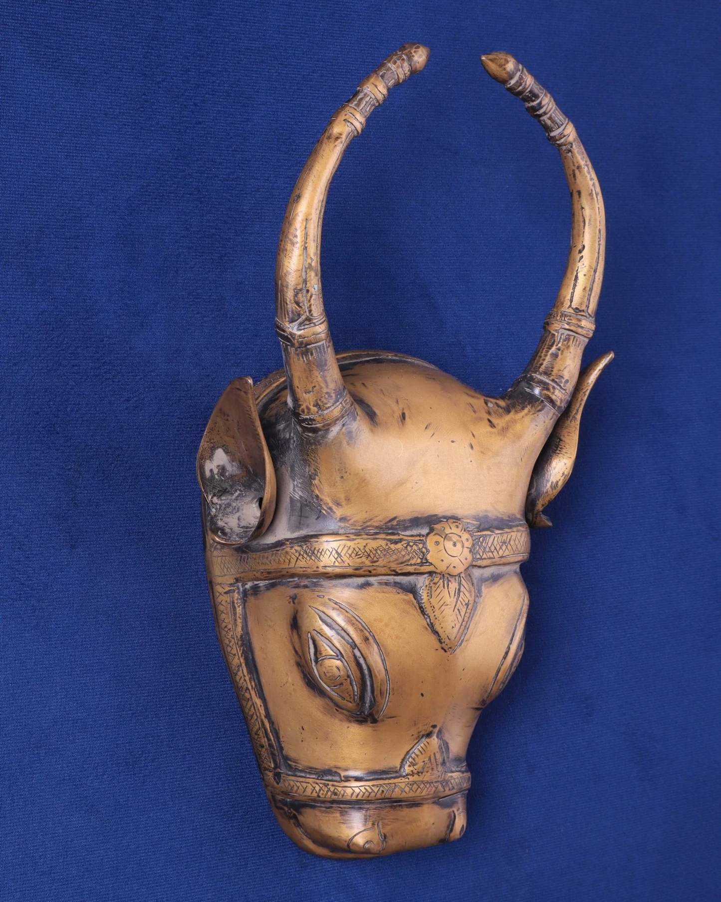 Brassaura™ Vintage Brass Cow Head Wall Hanging – Height 12.2 in, Weight 3 kg – Antique Finish