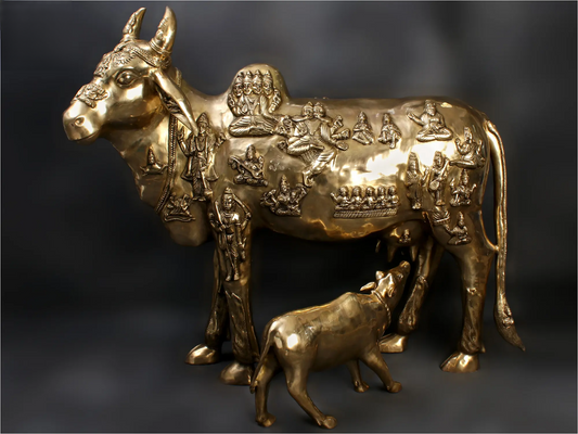 Brassaura® ब्रास नंदी गाय बेबी मूर्ति | ऊँचाई 48.43 इंच और वज़न 163 किलोग्राम