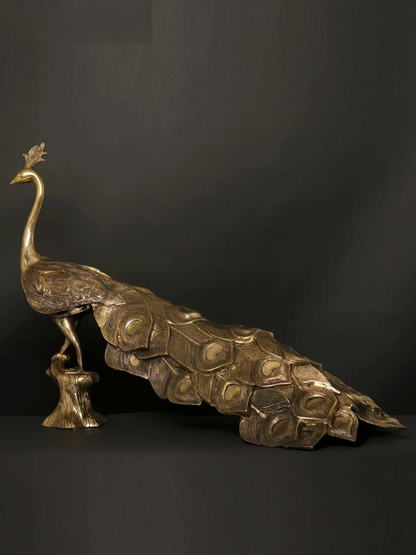 Brassaura® Brass Peacock Sculpture | Pure Brass | Height 24.6 Inches & Weight 23.45 kgs