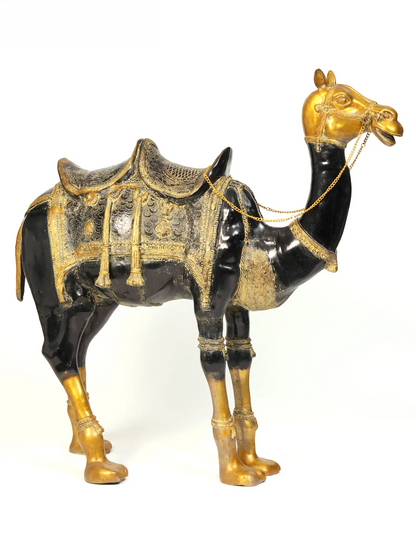 Brassaura® Royal Brass Camel Sculpture with Ornate Saddle | Pure Brass | Height 51 Inches & Weight 101.95 kgs