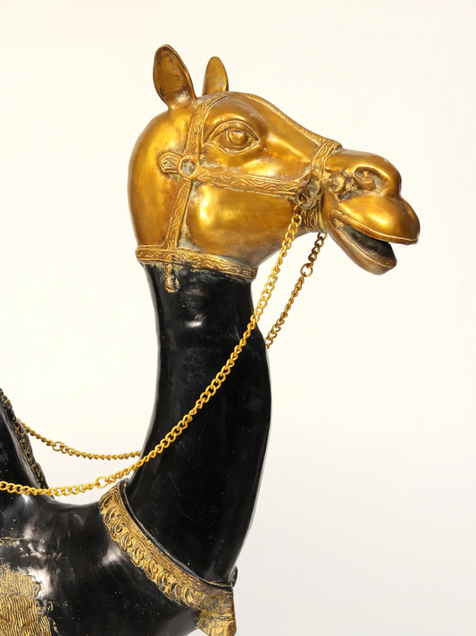 Brassaura® Royal Brass Camel Sculpture with Ornate Saddle | Pure Brass | Height 51 Inches & Weight 101.95 kgs