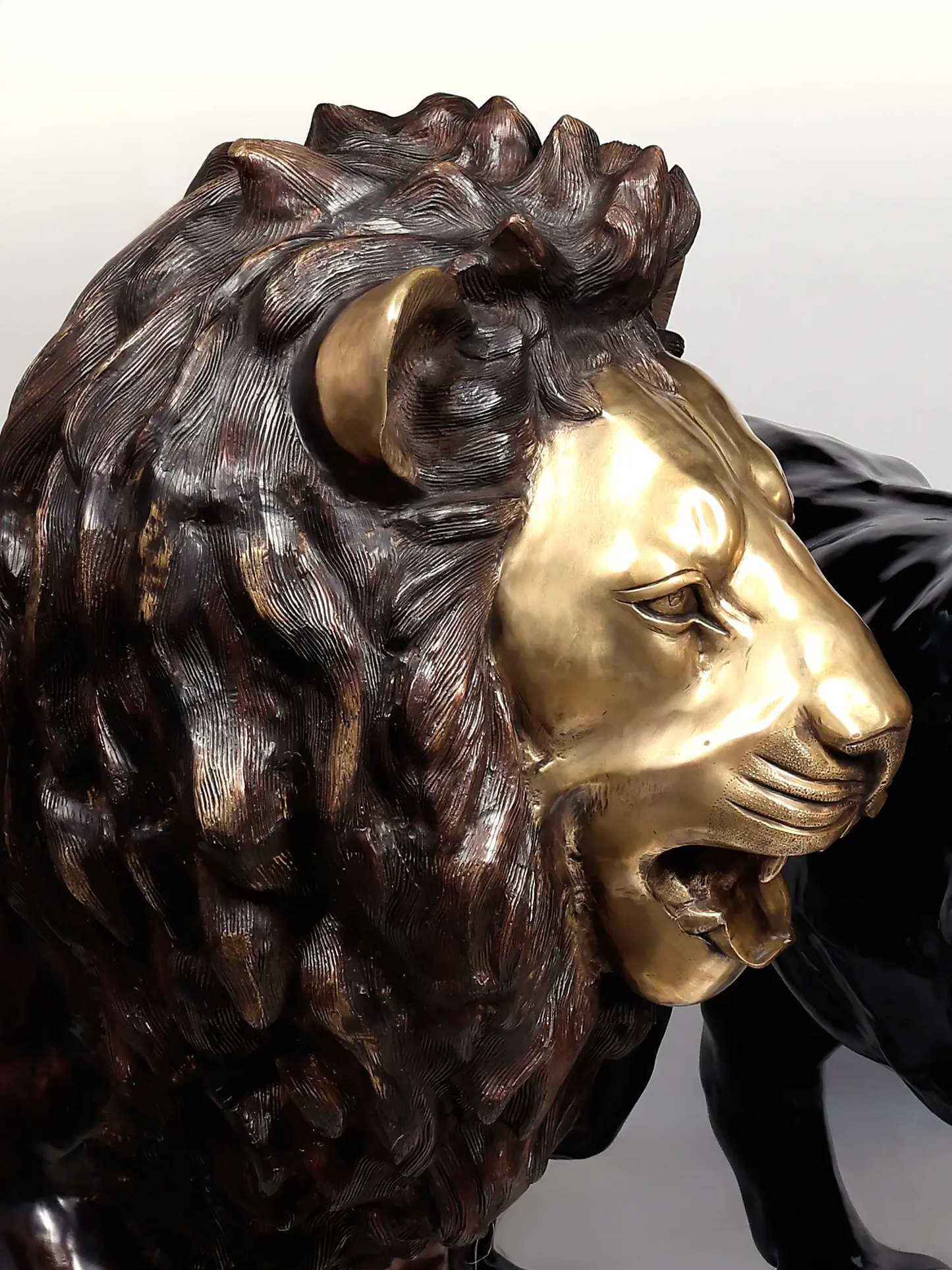 Brassaura® Pair of Roaring Lion Brass Sculptures | Handcrafted Statement Décor | Height 49 Inches & Weight 396 kgs