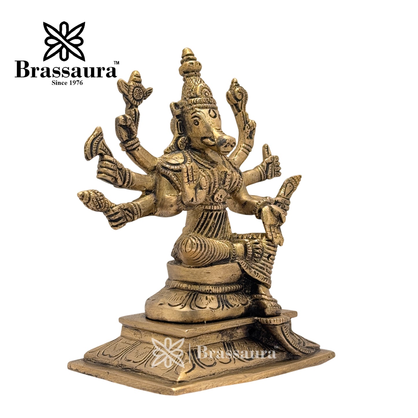 Brass Black Patina Work Varah God Idol for Home and Decor Weight 1.8 Kg Height 18 cm