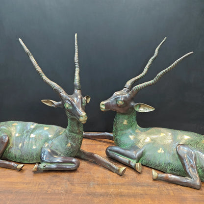 Brassaura® Pair of Brass Deer Sculptures | Handcrafted Antique Finish Deer Statue Set | Premium Brass Animal Figurines for Home Décor, Living Room & Office | Height 30 Inches | 50 Kg