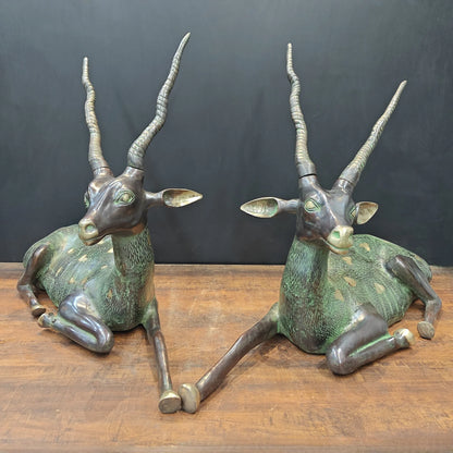 Brassaura® Pair of Brass Deer Sculptures | Handcrafted Antique Finish Deer Statue Set | Premium Brass Animal Figurines for Home Décor, Living Room & Office | Height 30 Inches | 50 Kg