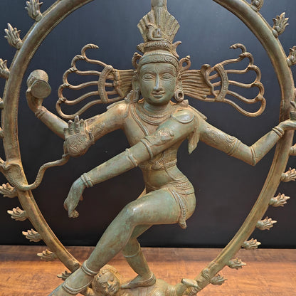 Brassaura® Brass Nataraja Statue | Dancing Lord Shiva (Nataraj) Idol for Home Temple, Spiritual Décor & Vastu | 31 Inches | 25 Kg