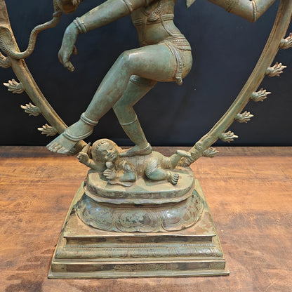 Brassaura® Brass Nataraja Statue | Dancing Lord Shiva (Nataraj) Idol for Home Temple, Spiritual Décor & Vastu | 31 Inches | 25 Kg