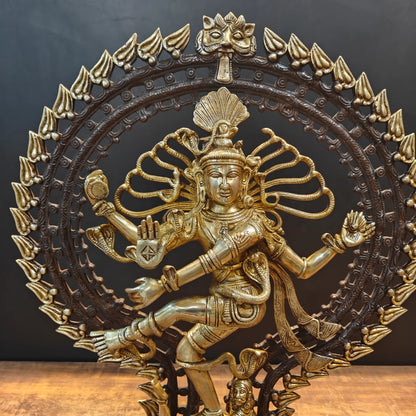Brassaura® Brass Nataraja Statue | Lord Shiva Dancing in Cosmic Tandava | Handcrafted Brass Sculpture for Home Temple, Pooja Room & Spiritual Décor | Height 28 Inches | 19 Kg