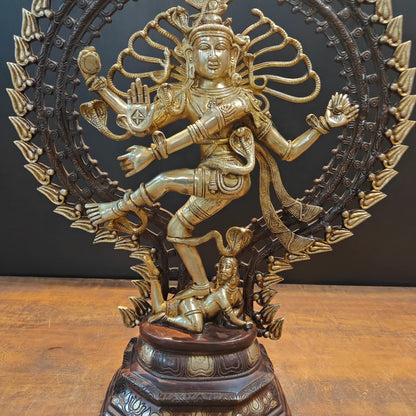Brassaura® Brass Nataraja Statue | Lord Shiva Dancing in Cosmic Tandava | Handcrafted Brass Sculpture for Home Temple, Pooja Room & Spiritual Décor | Height 28 Inches | 19 Kg