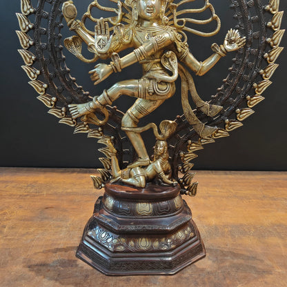 Brassaura® Brass Nataraja Statue | Lord Shiva Dancing in Cosmic Tandava | Handcrafted Brass Sculpture for Home Temple, Pooja Room & Spiritual Décor | Height 28 Inches | 19 Kg