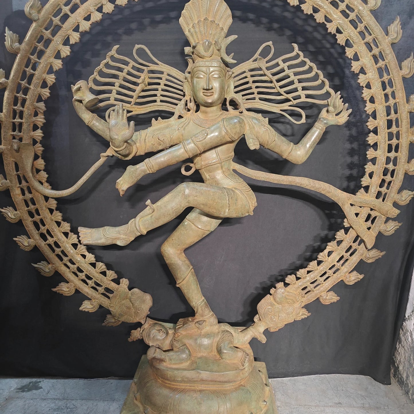 ब्रासोरा® वृंदावन वेणुगोपाल कृष्ण पीतल की प्रतिमा मोर के साथ | एंटीक नीला और सुनहरा रंग | ऊँचाई 20 इंच