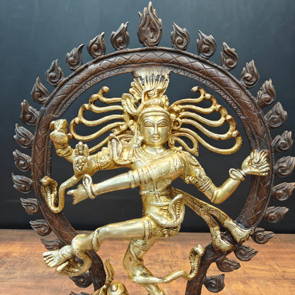 Brassaura® Brass Nataraja Statue | Lord Shiva Dancing Idol with Prabhamandala | Handcrafted Brass Shiv Tandav Murti for Home Temple, Office & Spiritual Décor | 20 Inches | 8.5 Kg
