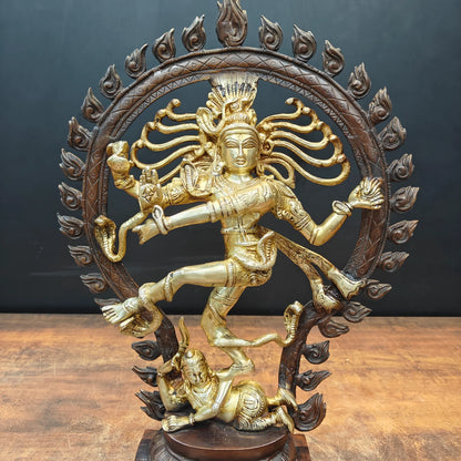 Brassaura® Brass Nataraja Statue | Lord Shiva Dancing Idol with Prabhamandala | Handcrafted Brass Shiv Tandav Murti for Home Temple, Office & Spiritual Décor | 20 Inches | 8.5 Kg