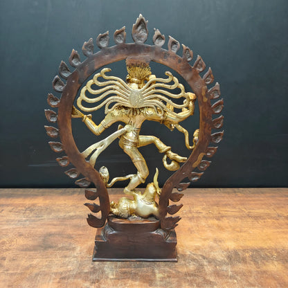 Brassaura® Brass Nataraja Statue | Lord Shiva Dancing Idol with Prabhamandala | Handcrafted Brass Shiv Tandav Murti for Home Temple, Office & Spiritual Décor | 20 Inches | 8.5 Kg