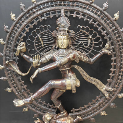 Brassaura® Brass Nataraja Statue | Lord Shiva Nataraj Dancing Idol with Prabhavali | Handcrafted Premium Brass Murti for Home Temple, Spiritual Décor & Gifting | 48 Inches | 55 Kg