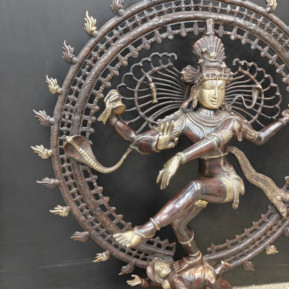 Brassaura® Brass Nataraja Statue | Lord Shiva Nataraj Dancing Idol with Prabhavali | Handcrafted Premium Brass Murti for Home Temple, Spiritual Décor & Gifting | 48 Inches | 55 Kg