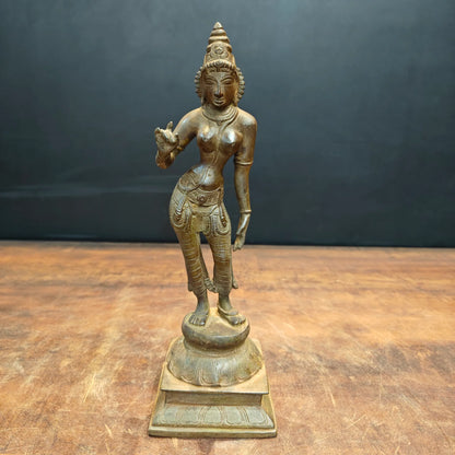 Brassaura® Brass Devangana Lady Statue | Handcrafted Traditional Indian Woman Sculpture | Vintage Brass Figurine for Home Décor, Living Room & Office | 12 Inches | 2.4 Kg