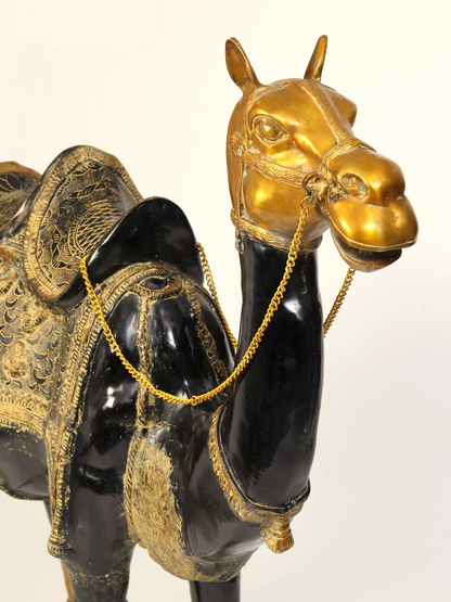 Brassaura® Royal Brass Camel Sculpture with Ornate Saddle | Pure Brass | Height 51 Inches & Weight 101.95 kgs