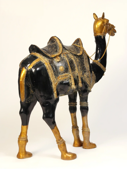 Brassaura® Royal Brass Camel Sculpture with Ornate Saddle | Pure Brass | Height 51 Inches & Weight 101.95 kgs