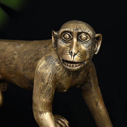 Brassaura® Handcrafted Brass Monkey Sculpture | Antique Gold Finish | Length 22 Inches & Weight 13.1 Kgs
